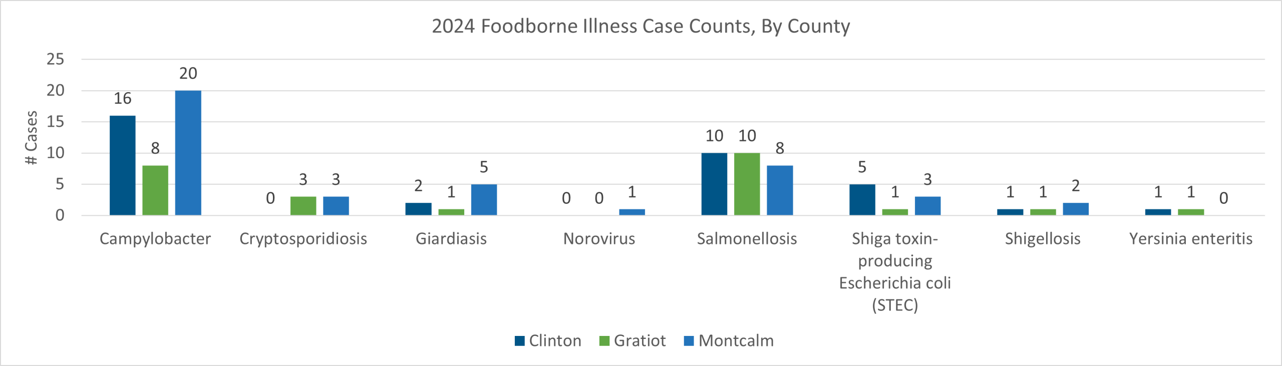 2024 Foodborne Illnesses
